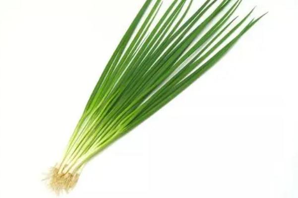 的区别 小葱是蔬菜吗麻将胡了小葱和香葱(图4)