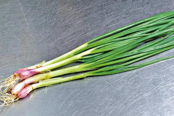 的区别 小葱是蔬菜吗麻将胡了小葱和香葱(图3)